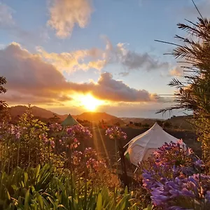 Lotus Yurt , Tegueste Espagne